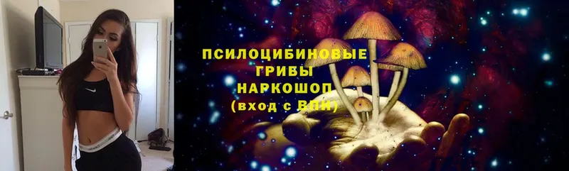 Галлюциногенные грибы Psilocybe  hydra онион  Гаджиево 